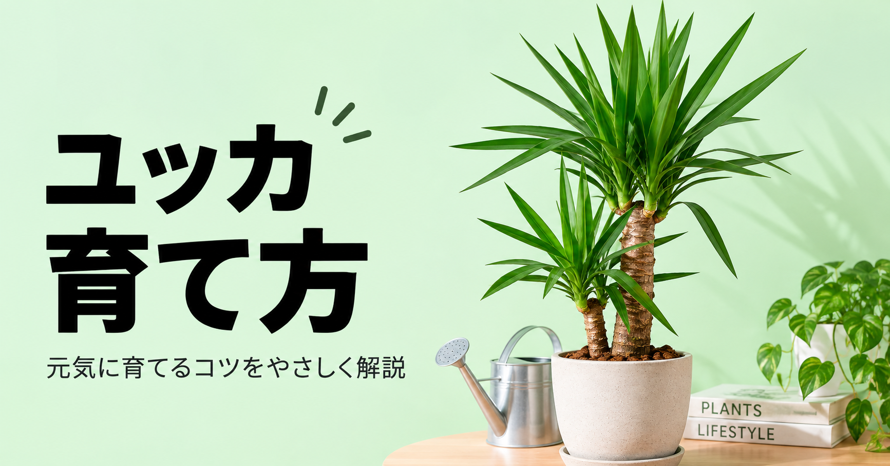 ユッカの育て方｜水やり・置き場所から植え替え、剪定まで解説