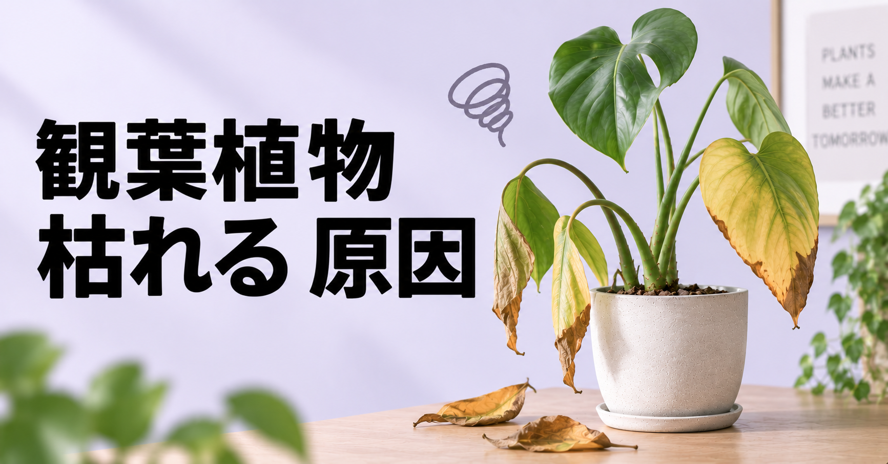 観葉植物が枯れる原因は？症状別の見分け方と復活させる対処法