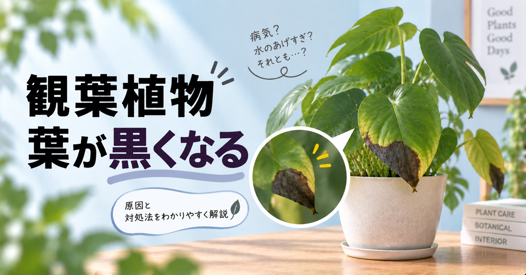 観葉植物の葉が黒くなる原因は?症状別の見分け方と正しい対処法