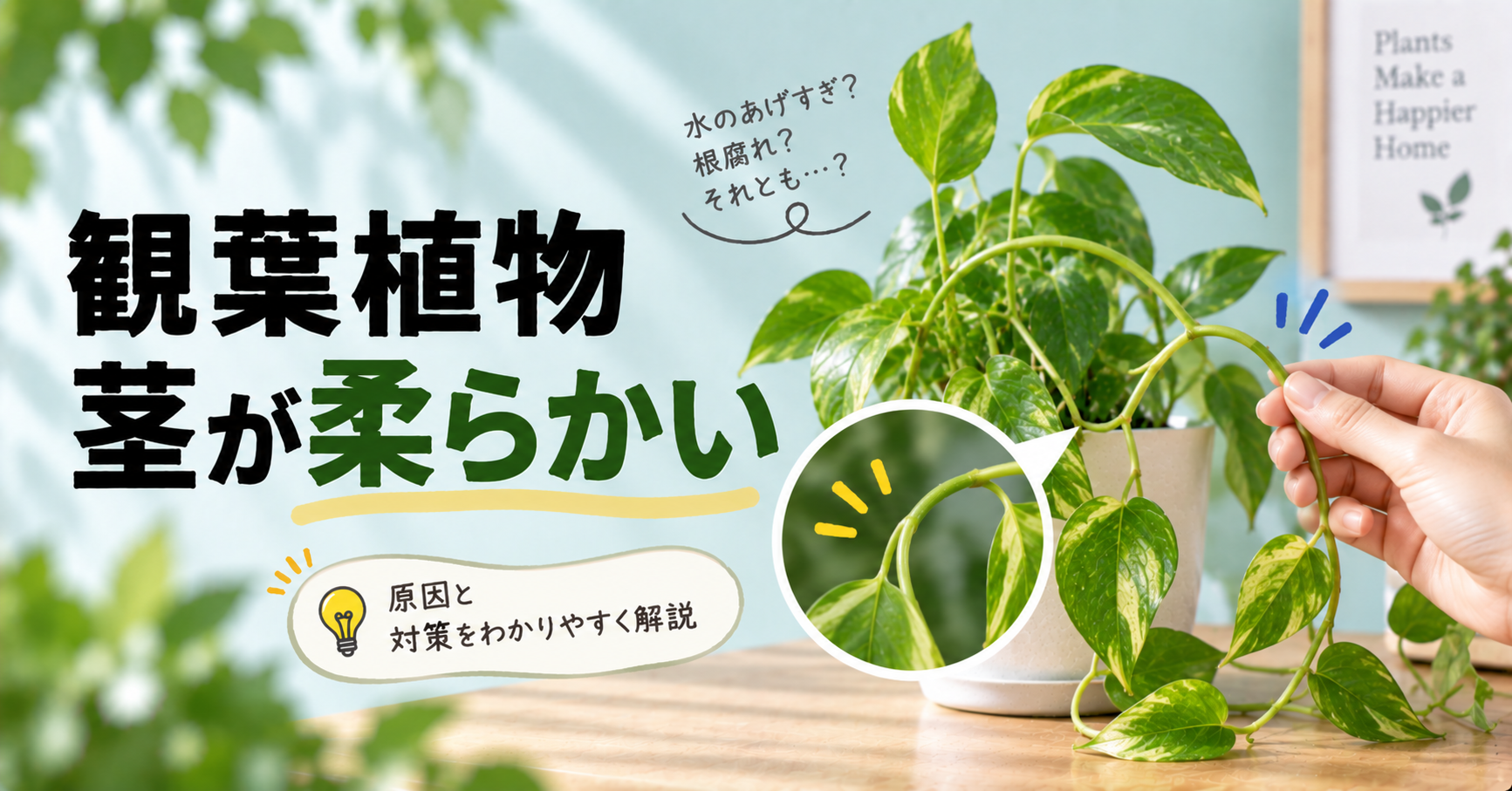 観葉植物の茎が柔らかい原因は？根腐れとの見分け方と復活方法を徹底解説