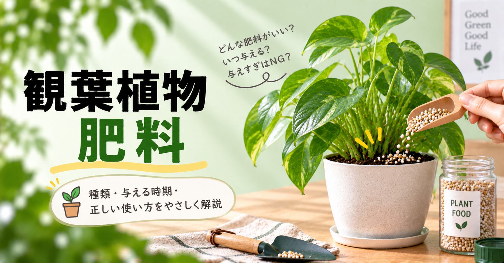 観葉植物の肥料はいつ・何を与える？種類・頻度・選び方と失敗しない使い方