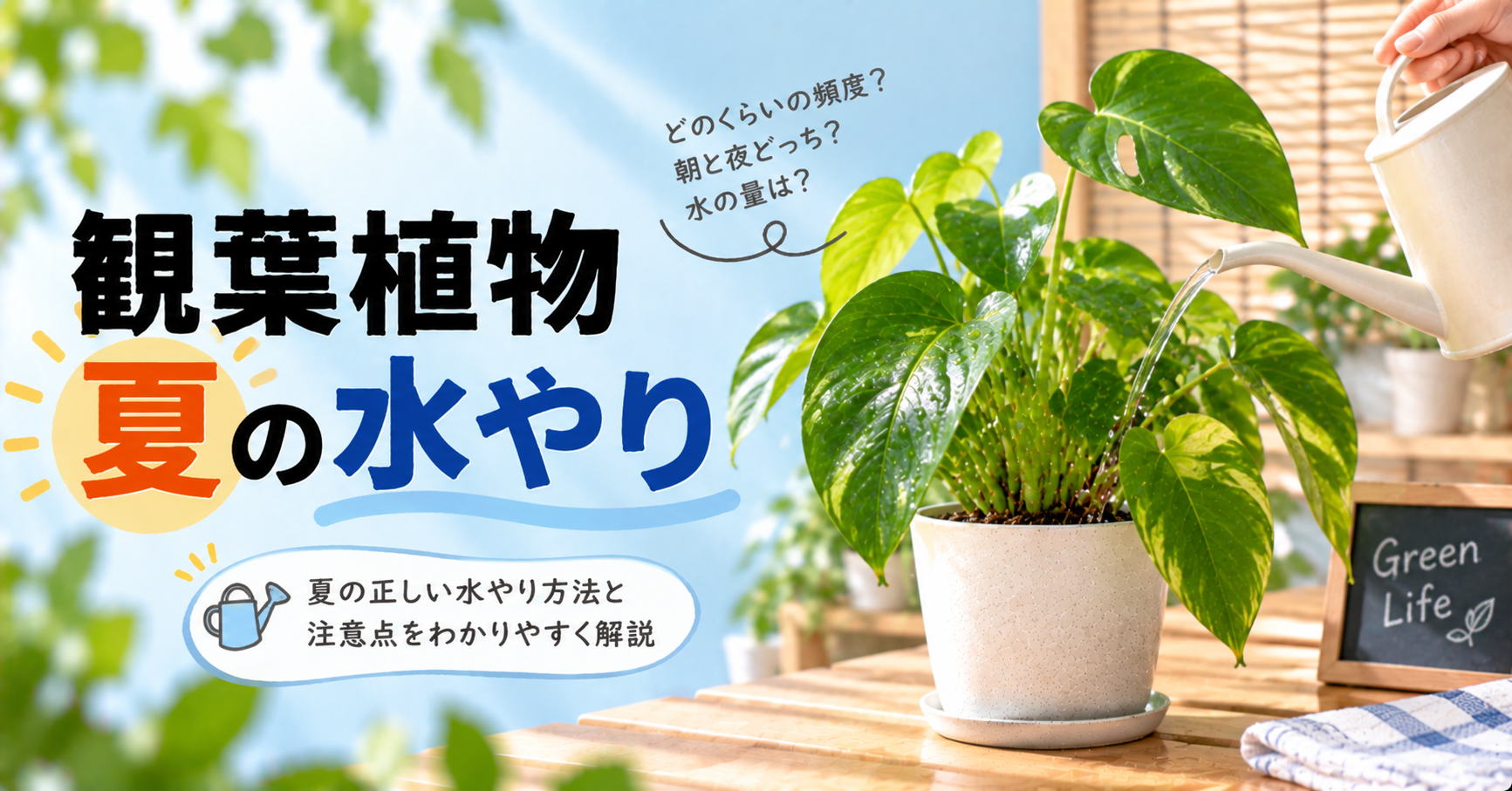観葉植物の夏の水やり完全ガイド｜頻度・時間帯・留守中の管理まで解説