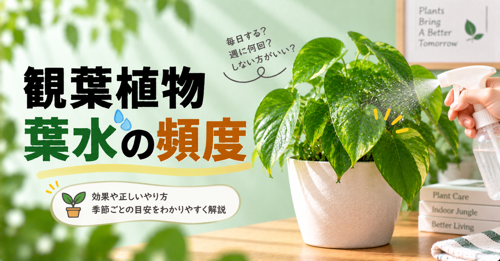 観葉植物の葉水は毎日必要？適切な頻度・時間帯・正しいやり方を徹底解説