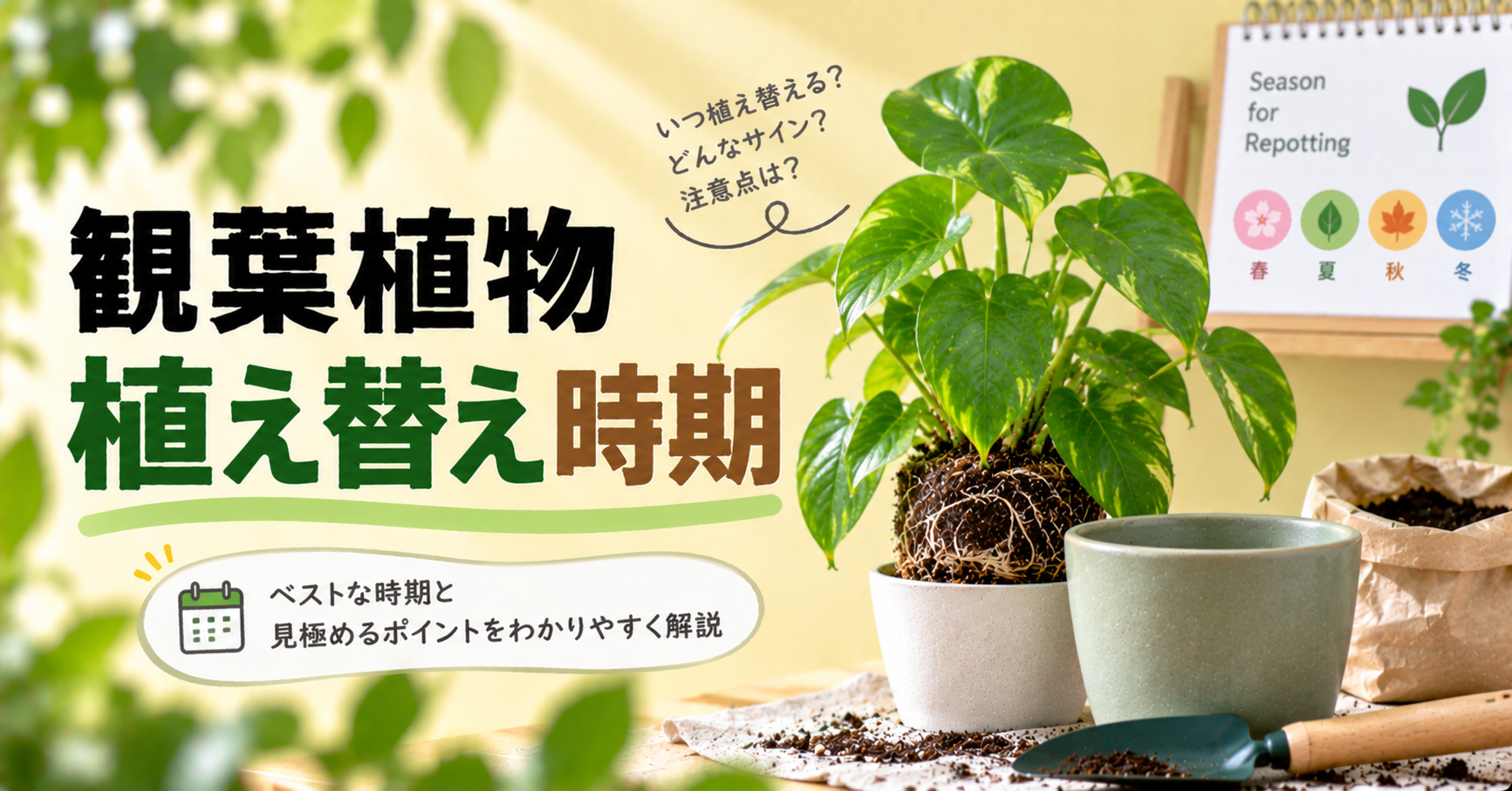 観葉植物の植え替え時期はいつ？最適な季節・見極め方・失敗しない手順を解説