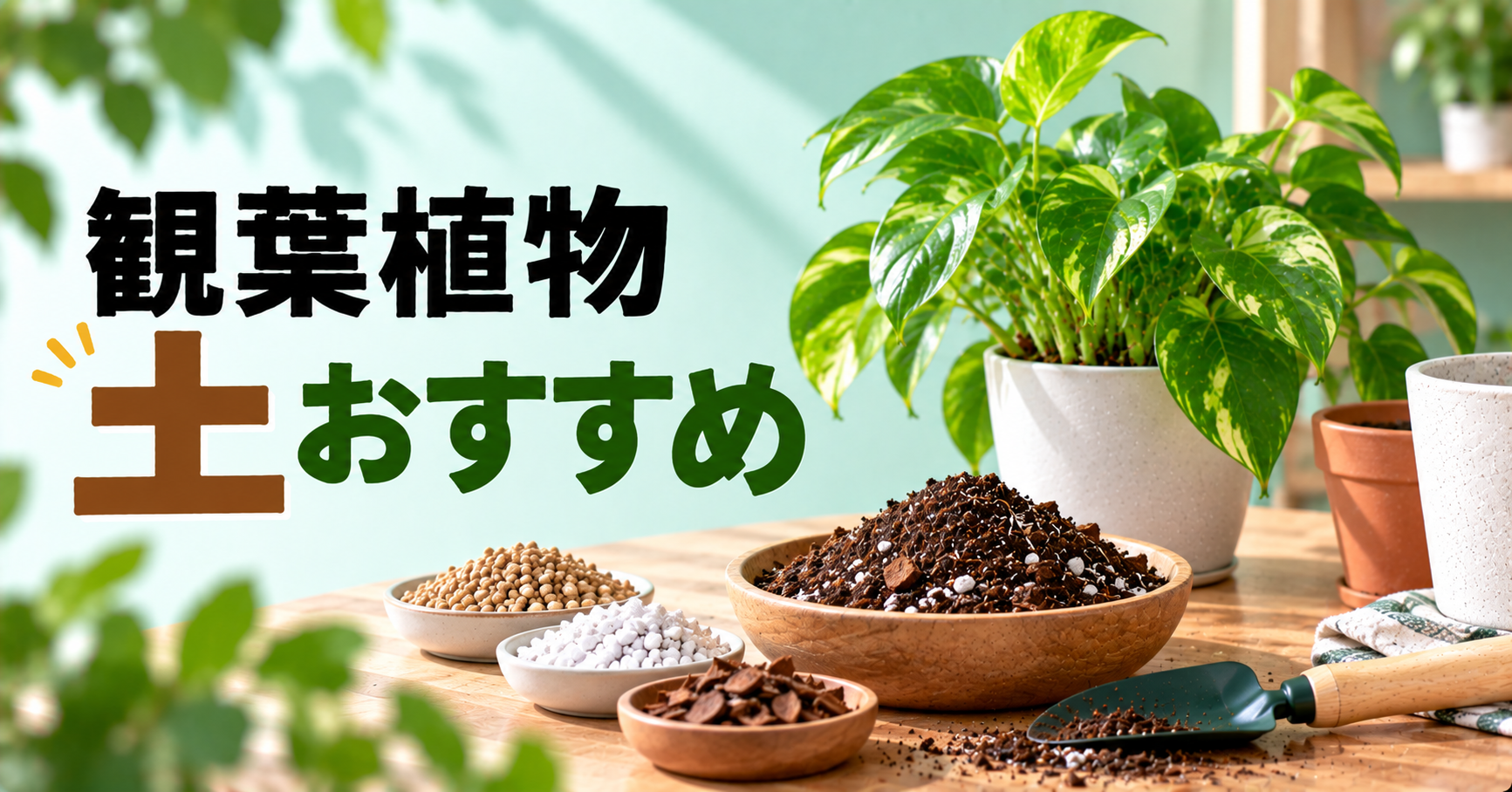 観葉植物におすすめの土は？選び方・配合・市販用土の使い方を解説