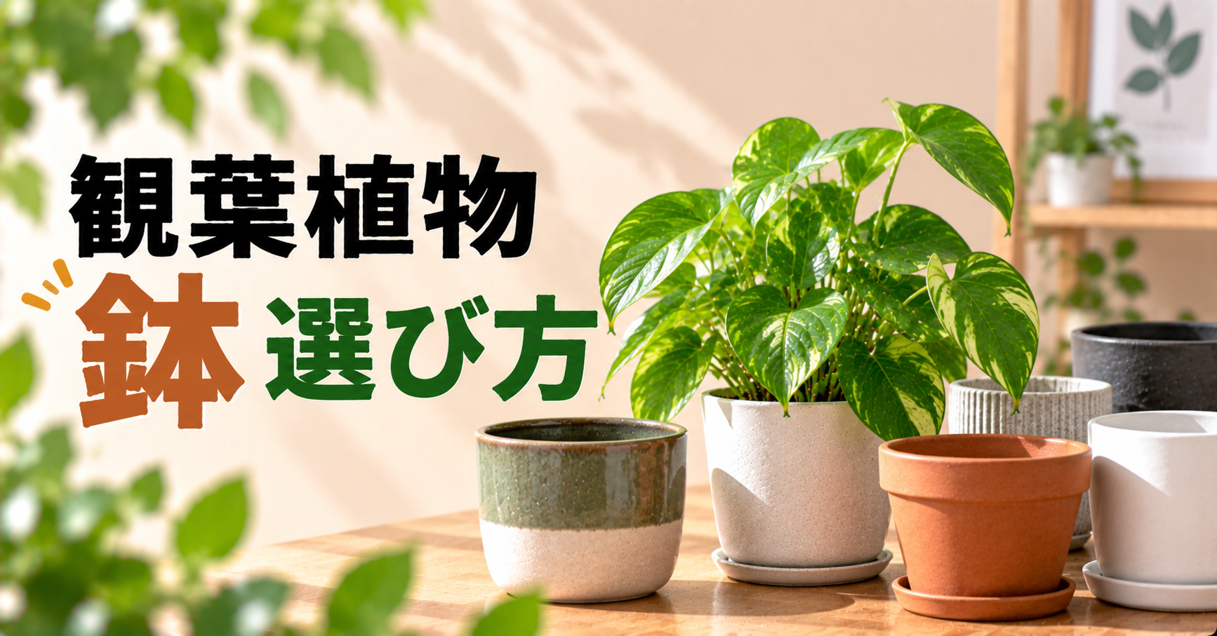 観葉植物の鉢の選び方｜サイズ・素材・鉢底穴の違いを初心者向けに解説