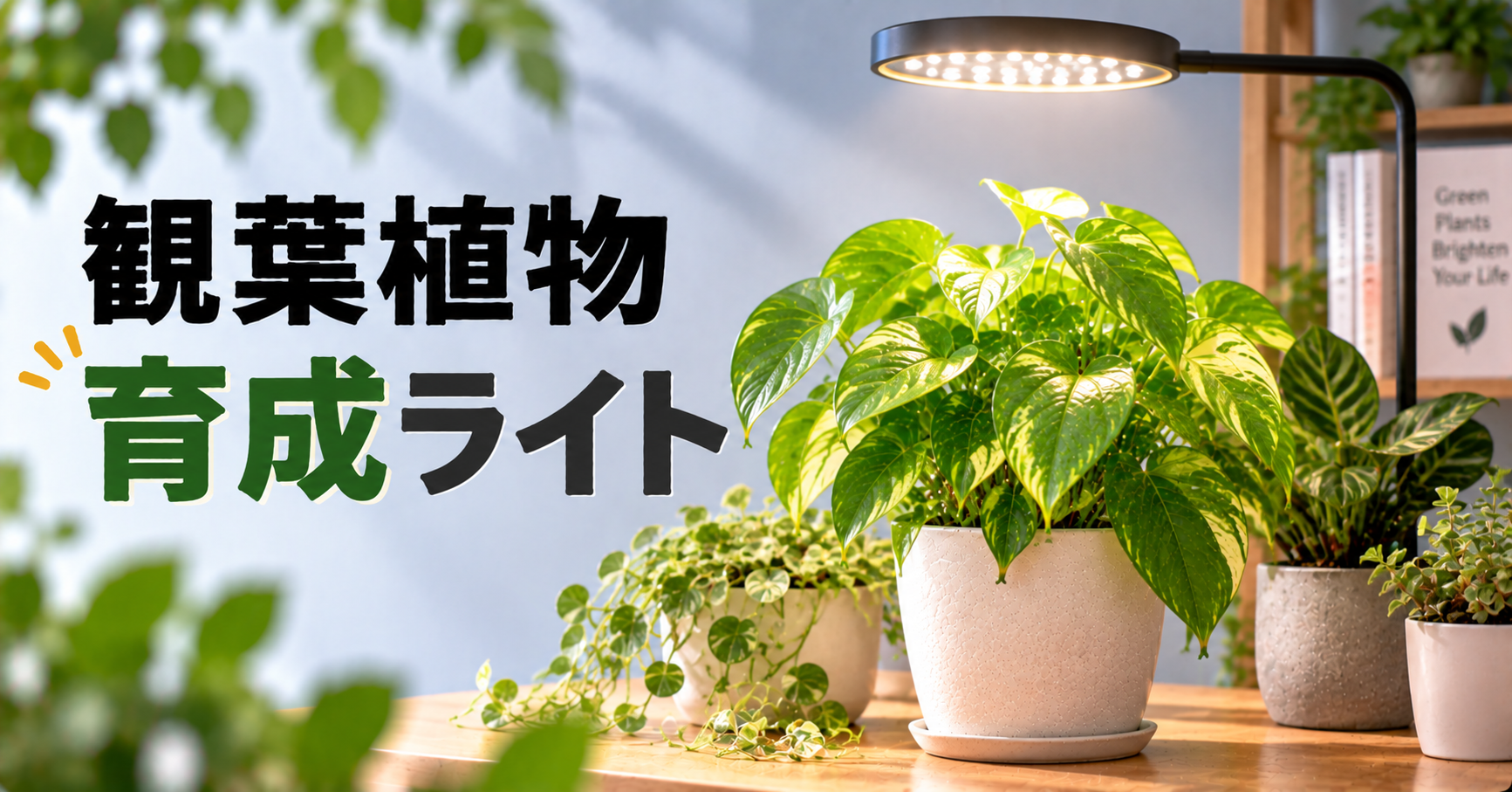 観葉植物に育成ライトは必要？選び方・距離・照射時間を初心者向けに解説