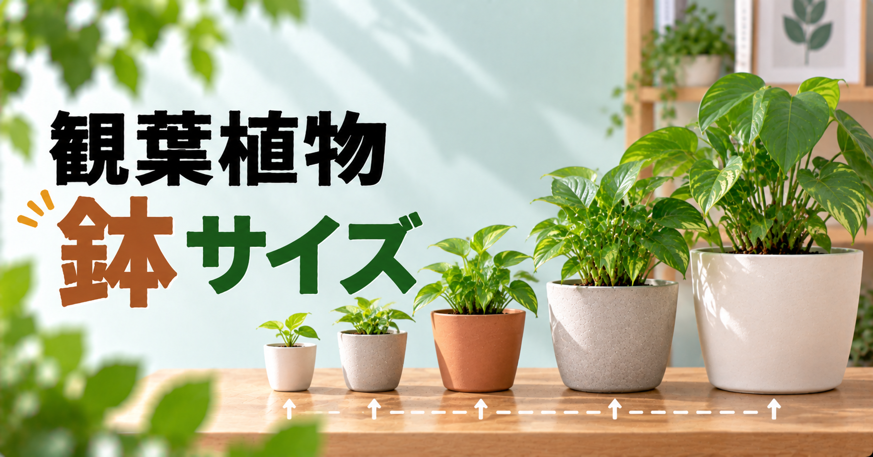 観葉植物の鉢サイズの選び方｜号数の見方・植え替え・植物別の目安を解説