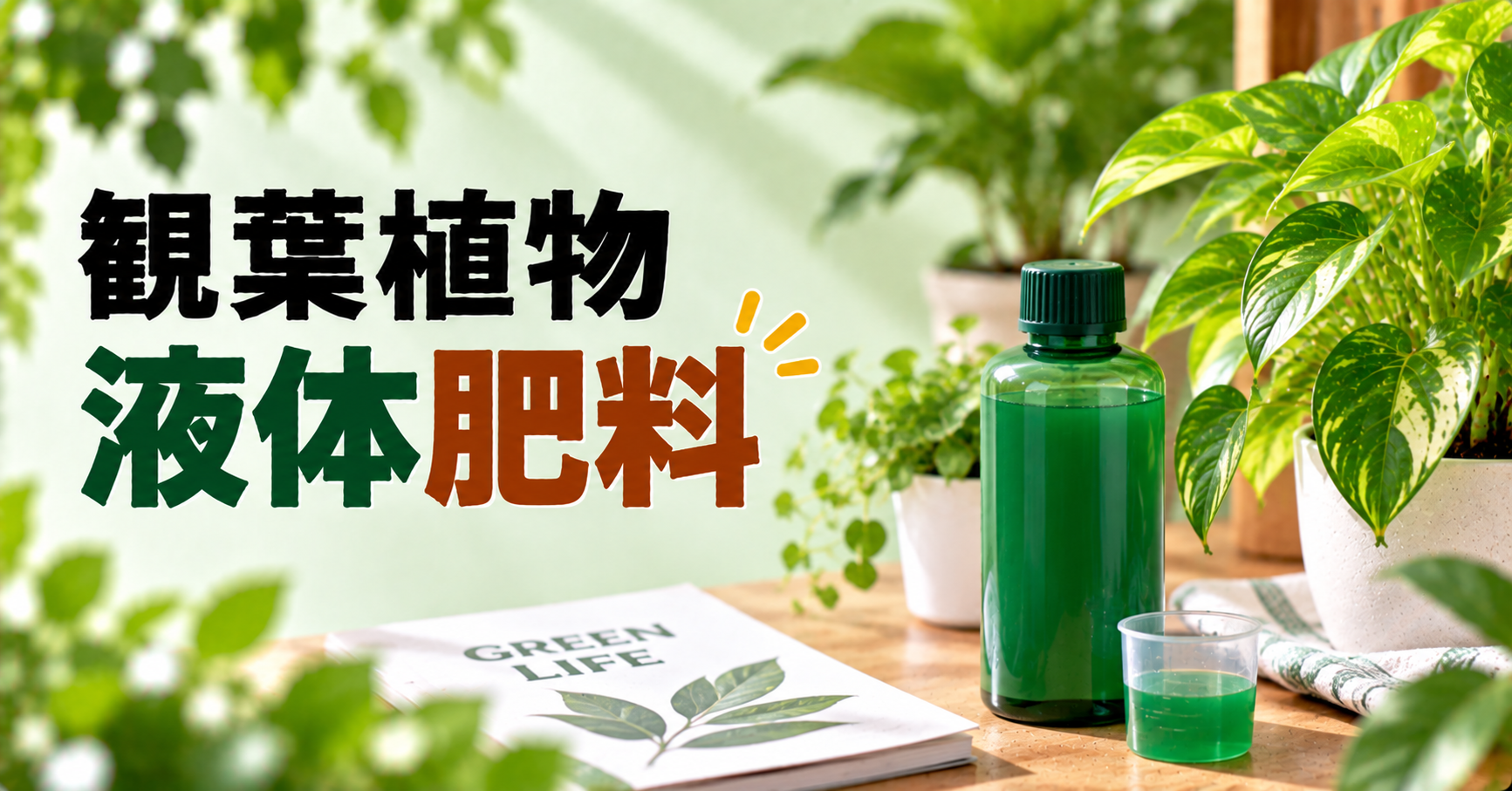 観葉植物の液体肥料はいつ・どう使う？選び方や頻度、正しい与え方を徹底解説