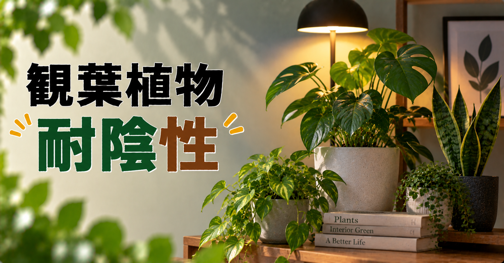 観葉植物の耐陰性とは？日陰に強い種類と暗い部屋で元気に育てる方法を解説