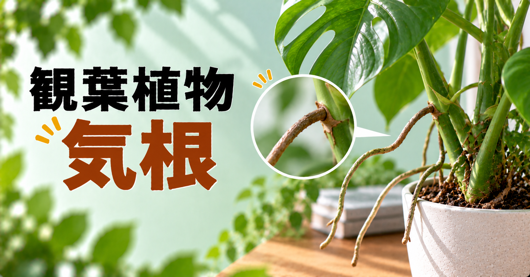 観葉植物の気根とは？伸びる理由・切り方・土へ誘導する方法を解説