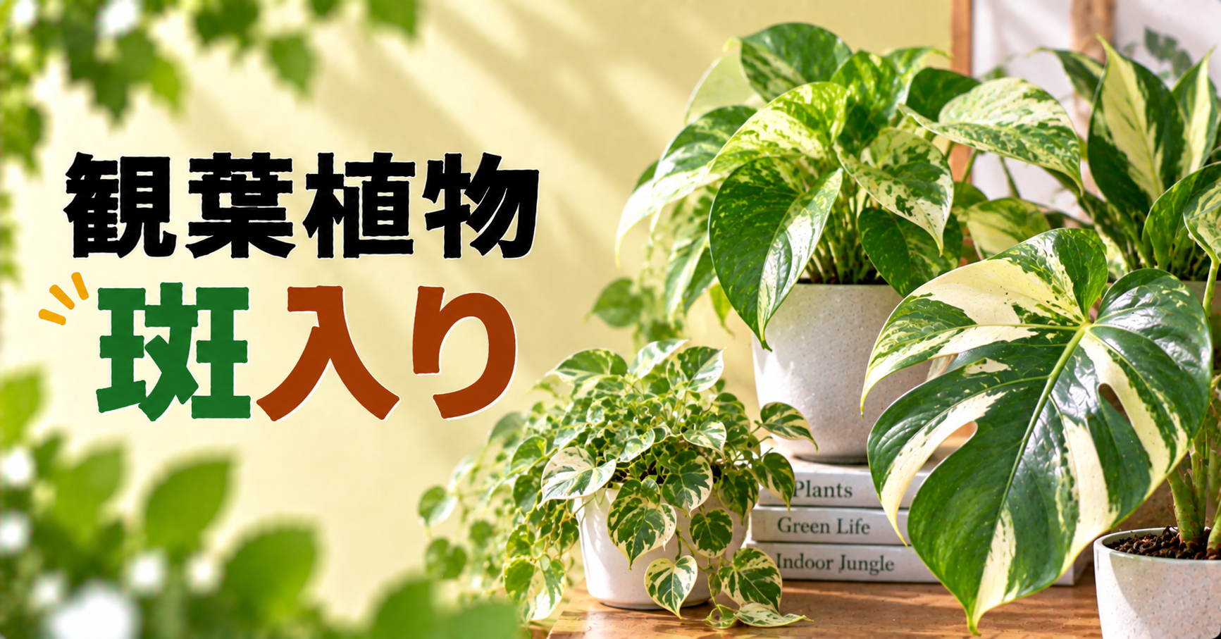 観葉植物の斑入りとは？育て方・斑が消える原因・葉焼け対策を解説