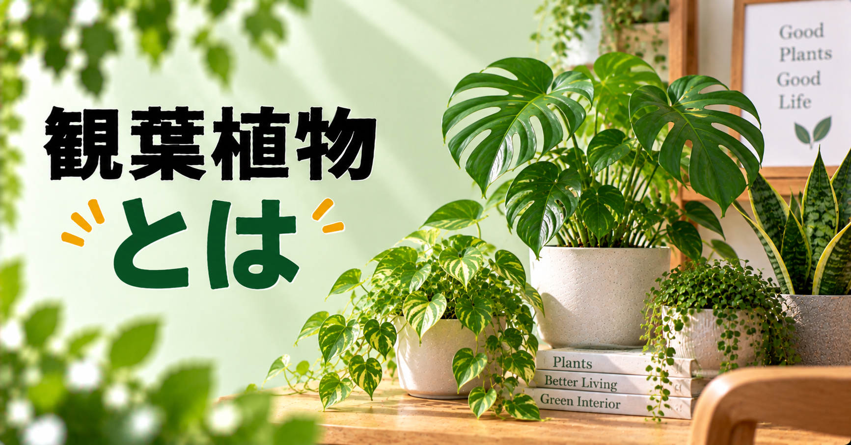 観葉植物とは？特徴・種類・育て方・初心者向けの選び方を徹底解説