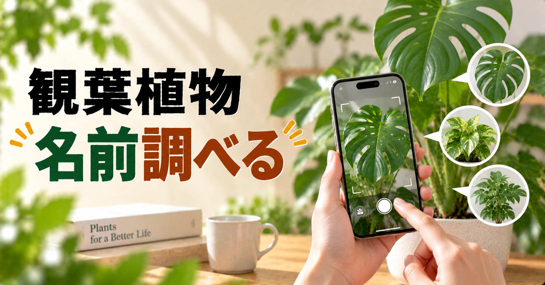 観葉植物の名前を調べる方法｜写真・葉・茎から種類を特定するポイントを解説
