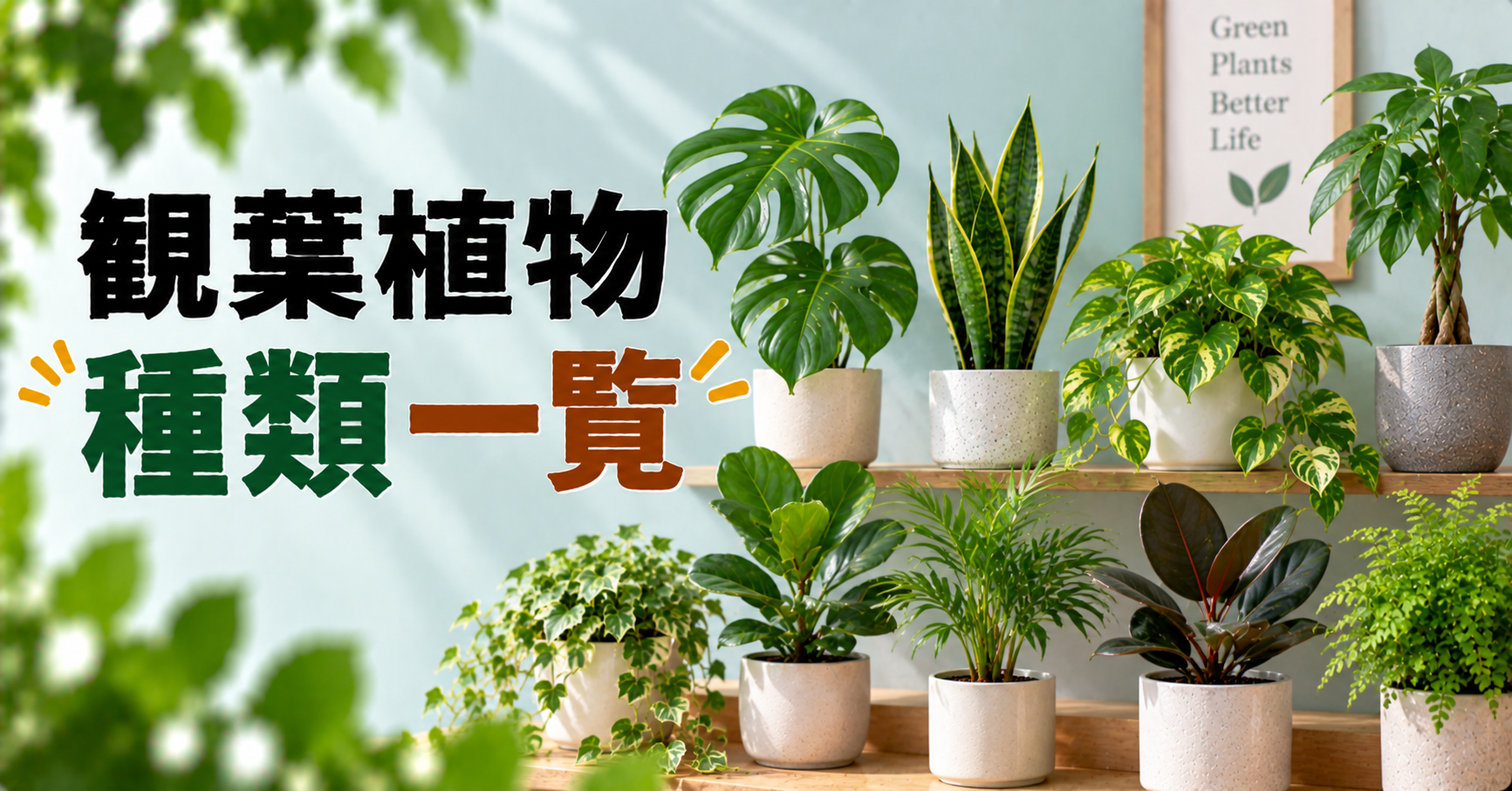 観葉植物の種類一覧｜初心者におすすめの人気品種と特徴・選び方