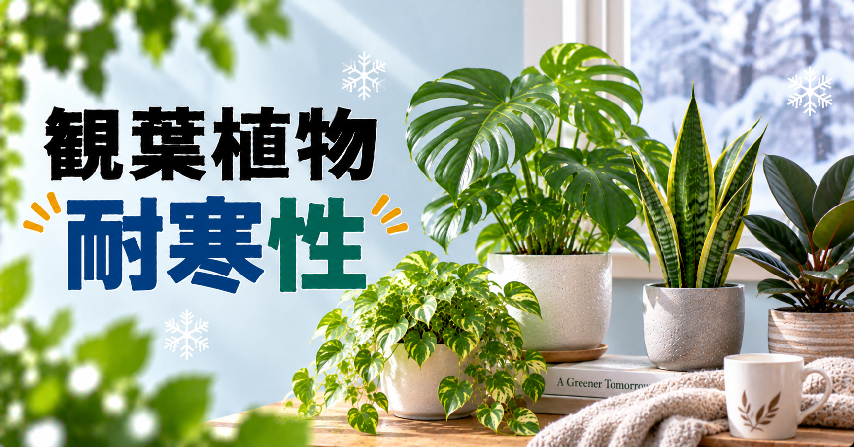 観葉植物の耐寒性とは？寒さに強い種類と冬越しの方法を解説