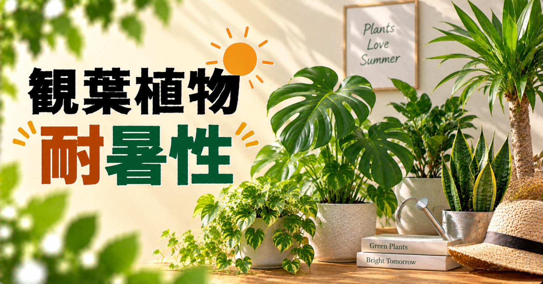 暑さに強い観葉植物一覧｜耐暑性の目安と夏を元気に乗り切る育て方