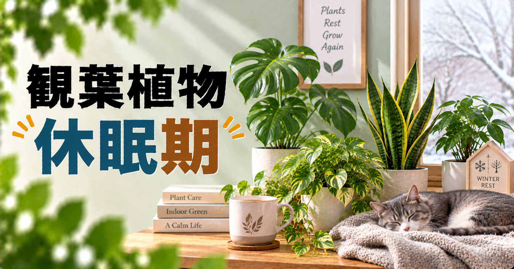 観葉植物の休眠期とは？時期・見分け方と冬の管理方法を徹底解説