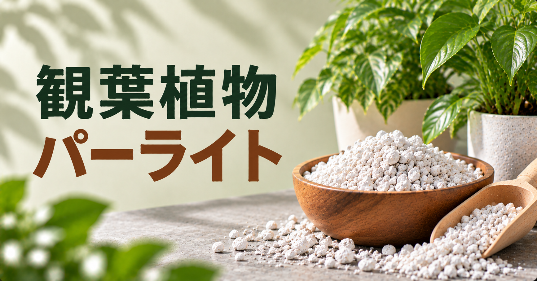 観葉植物にパーライトを使う方法｜種類・効果・おすすめの配合を解説