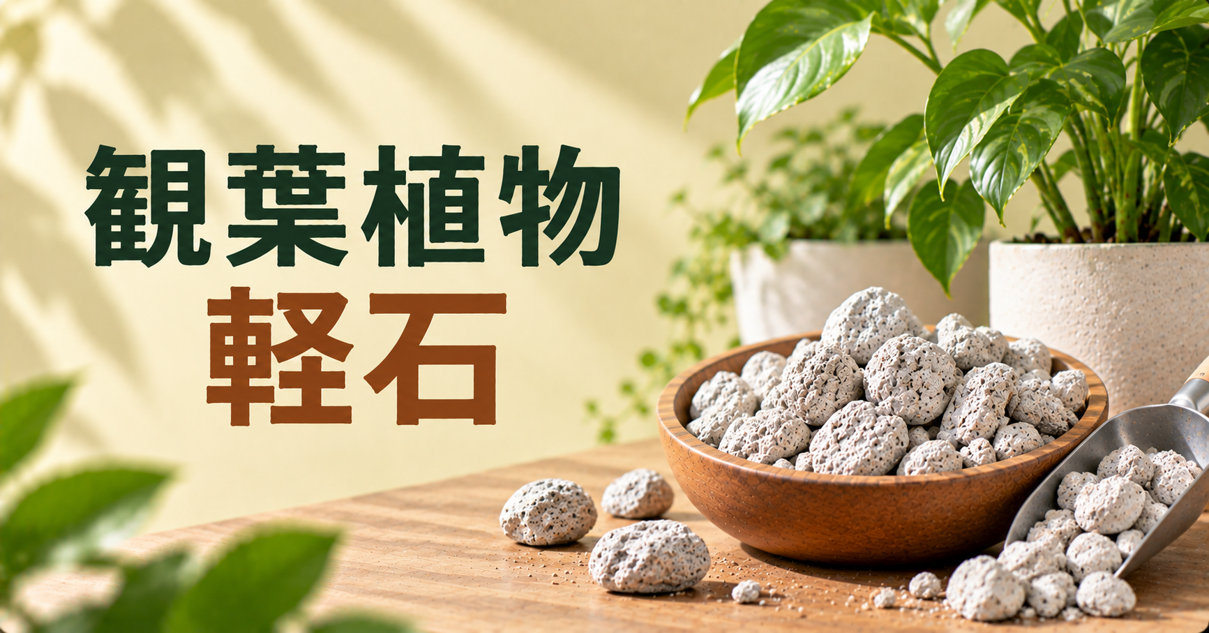 観葉植物に軽石は必要?効果・使い方・配合割合・選び方を徹底解説