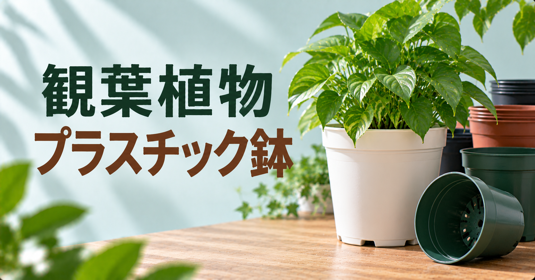 観葉植物のプラスチック鉢|メリット・デメリットと失敗しない選び方を徹底解説