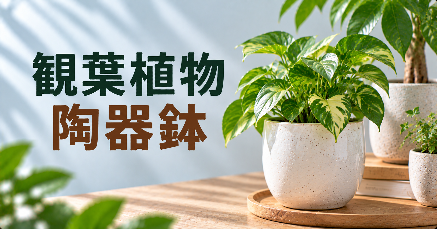 観葉植物に合う陶器鉢の選び方|メリット・デメリットと植え替え方法を解説