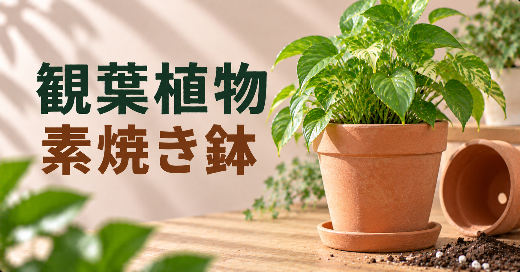 観葉植物に素焼き鉢を使う方法|メリット・デメリットと水やりのコツを解説