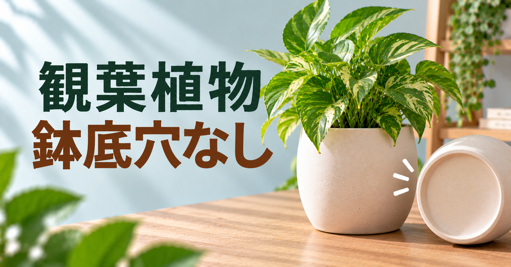 観葉植物は鉢底穴なしでも育てられる?正しい使い方と根腐れを防ぐ方法