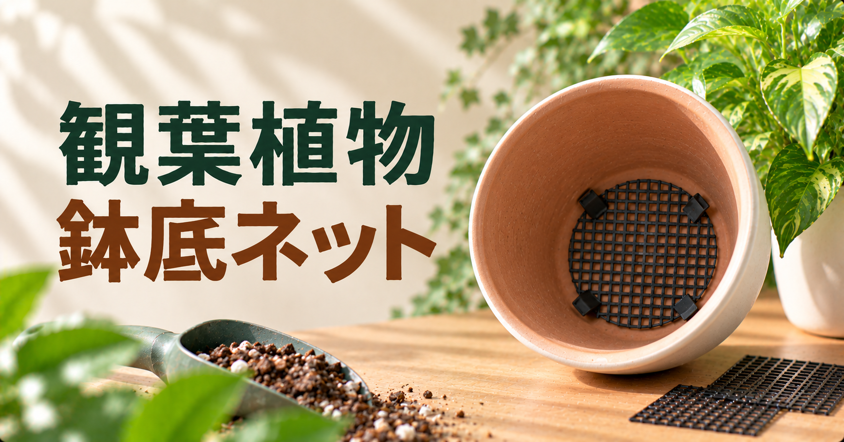 観葉植物に鉢底ネットは必要?役割・使い方・代用品を徹底解説