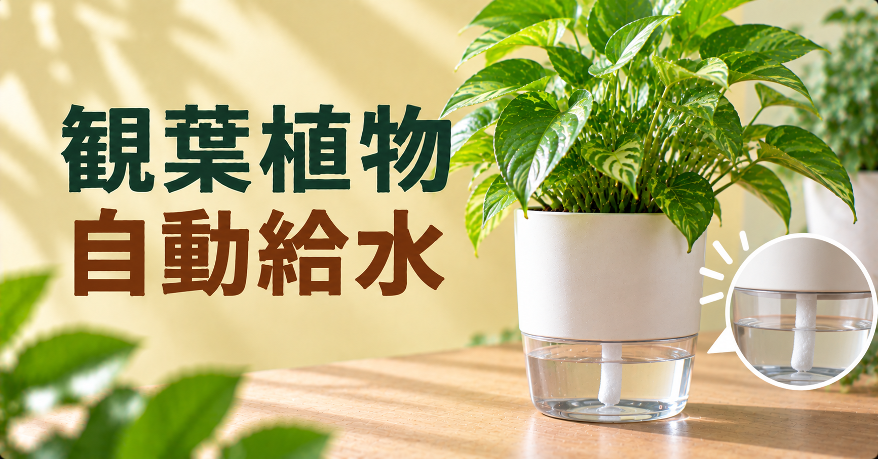 観葉植物の自動給水｜留守中に枯らさない方法と選び方を徹底解説