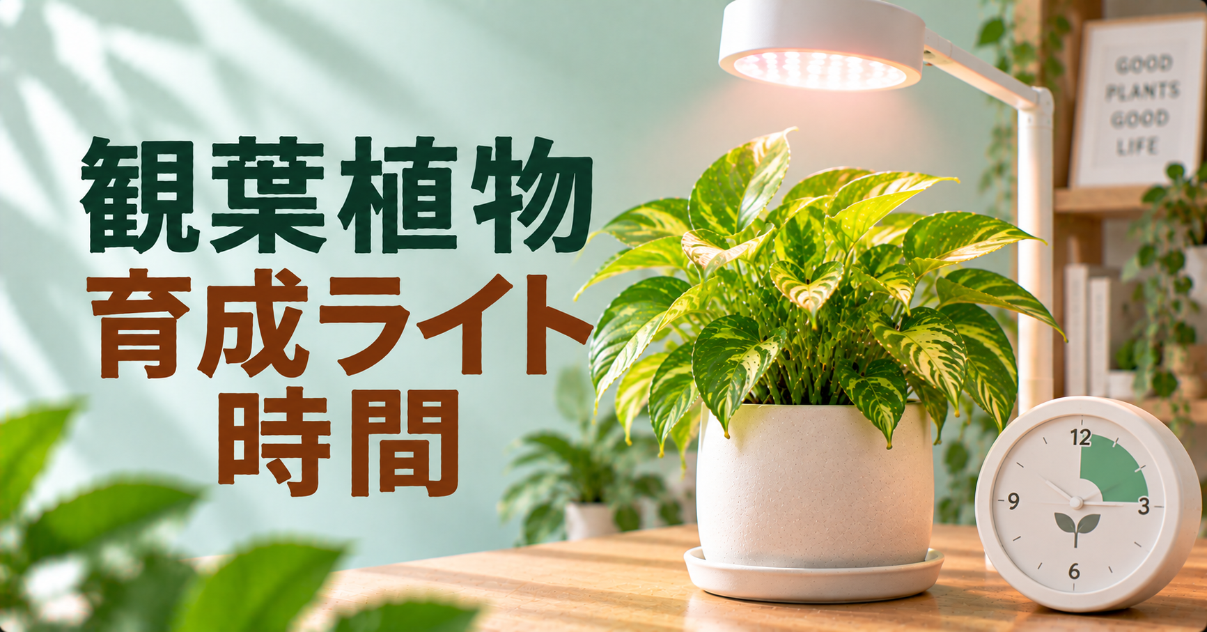 観葉植物の育成ライトは何時間？種類・季節別の照射時間と正しい使い方