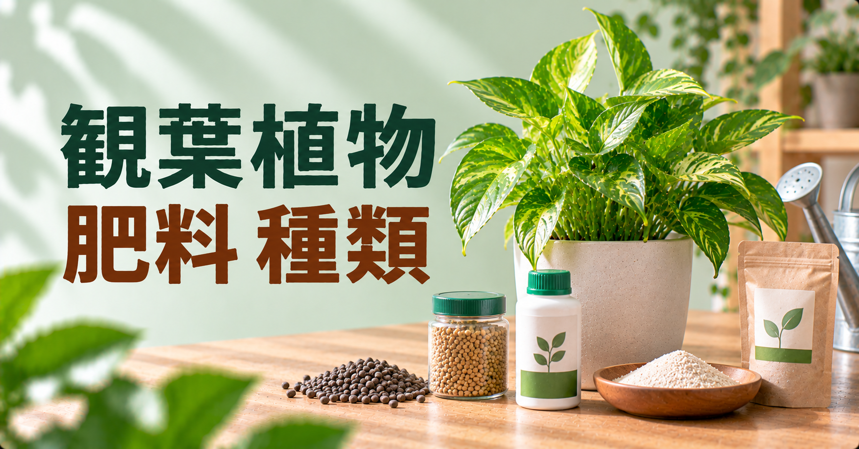 観葉植物の肥料の種類と選び方｜液体・固形の違いや正しい与え方