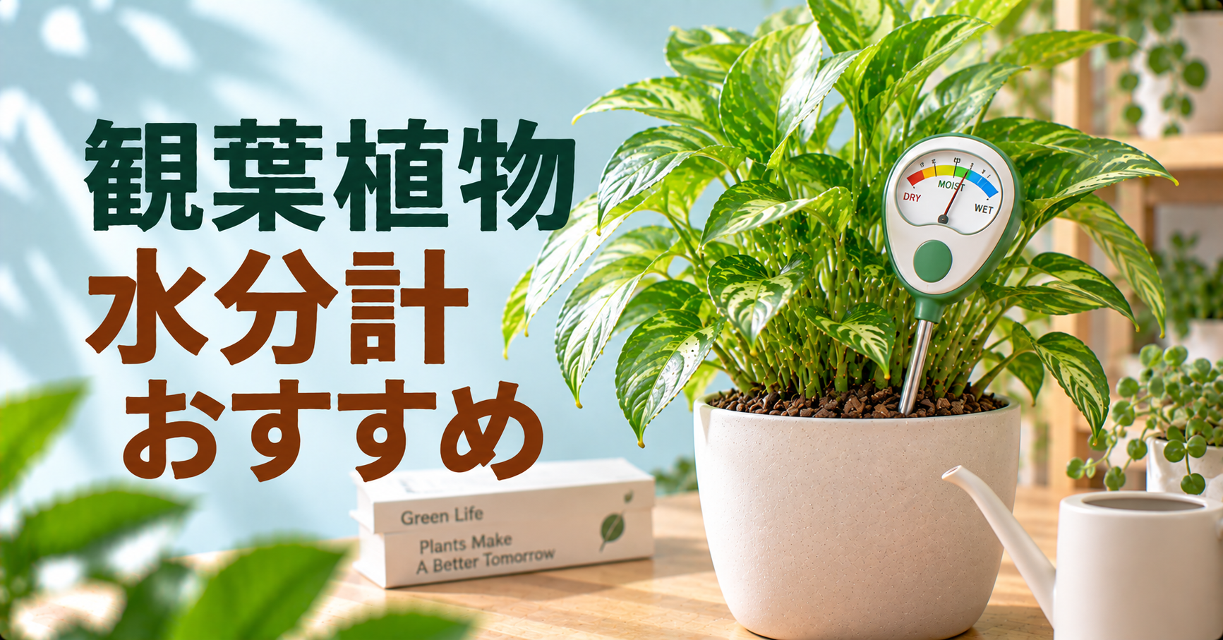 観葉植物におすすめの水分計｜選び方・人気製品・正しい使い方を徹底解説
