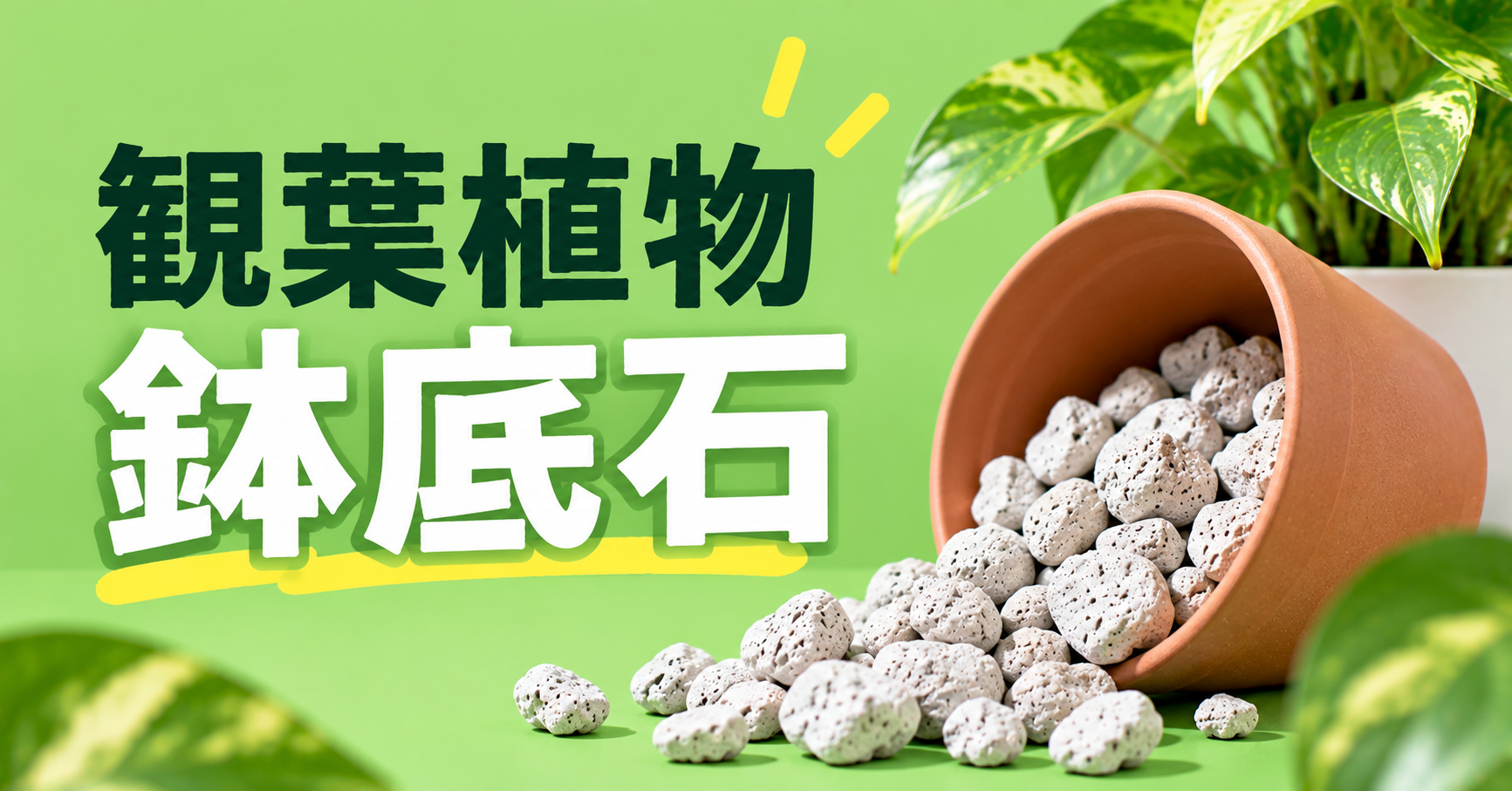 観葉植物に鉢底石は必要？役割・選び方・正しい入れ方を解説