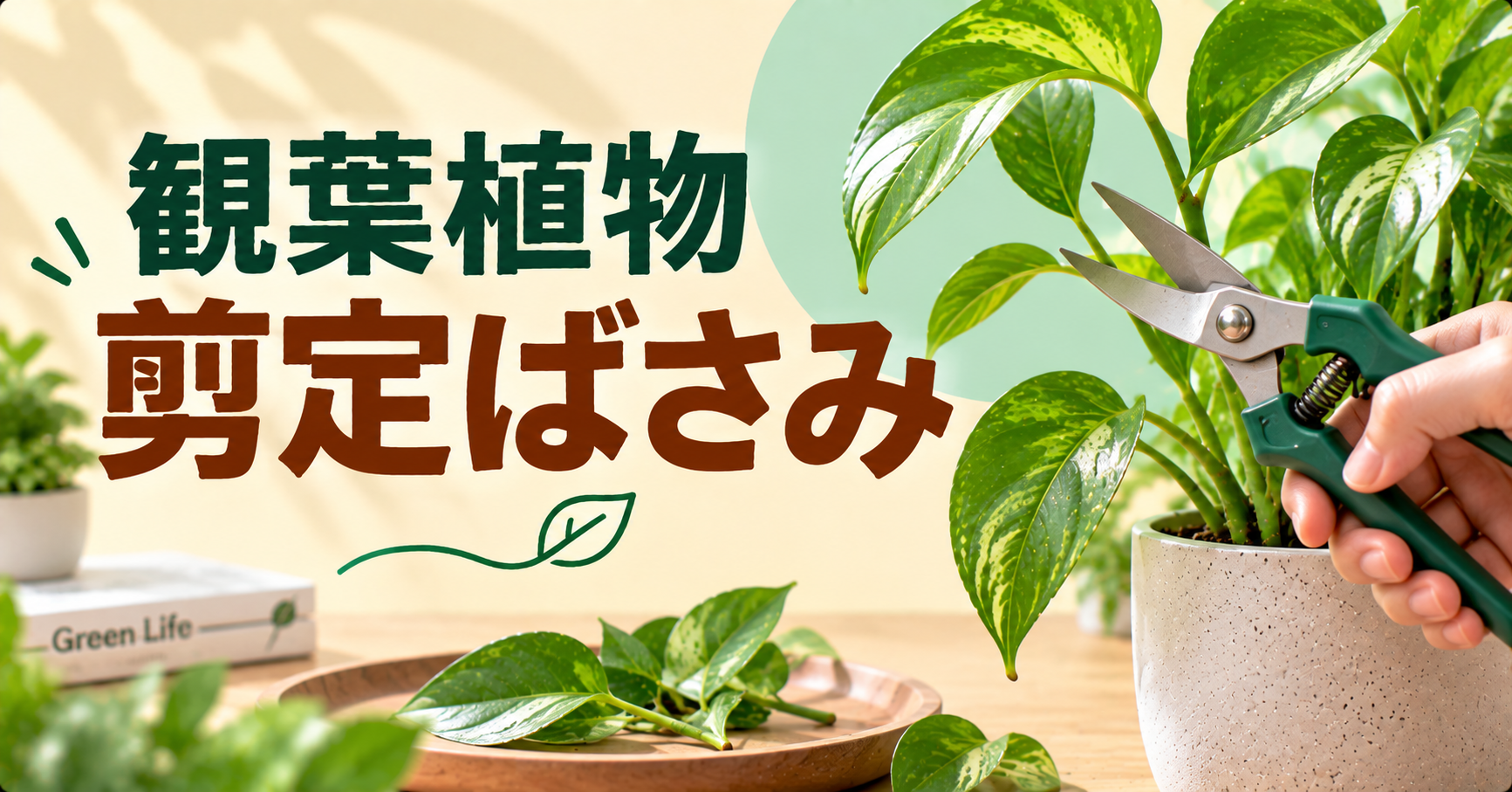 観葉植物用剪定ばさみの選び方｜初心者向けの使い方とお手入れ方法