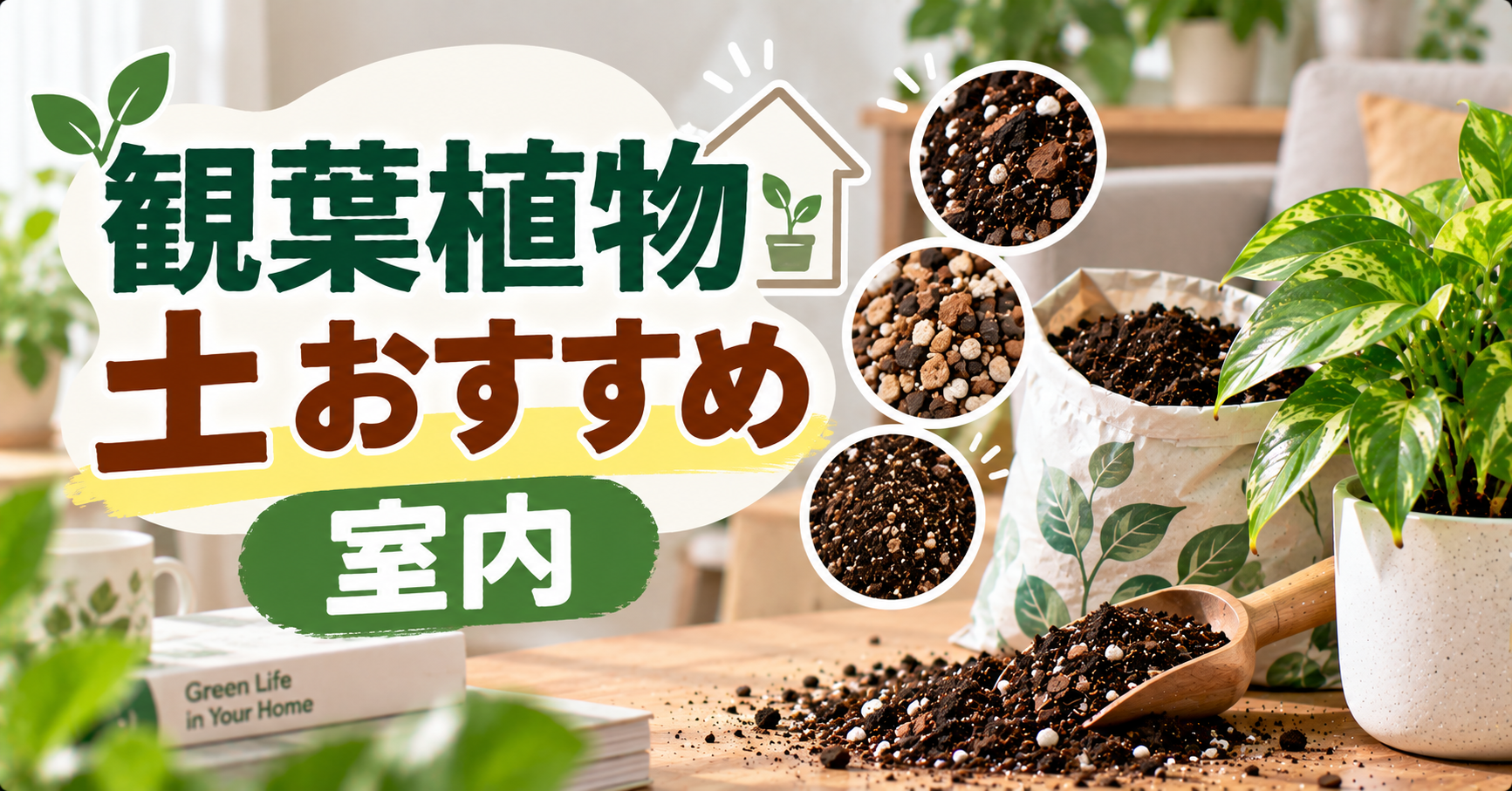 観葉植物におすすめの室内用土は？虫がわきにくい土の選び方と配合を徹底解説