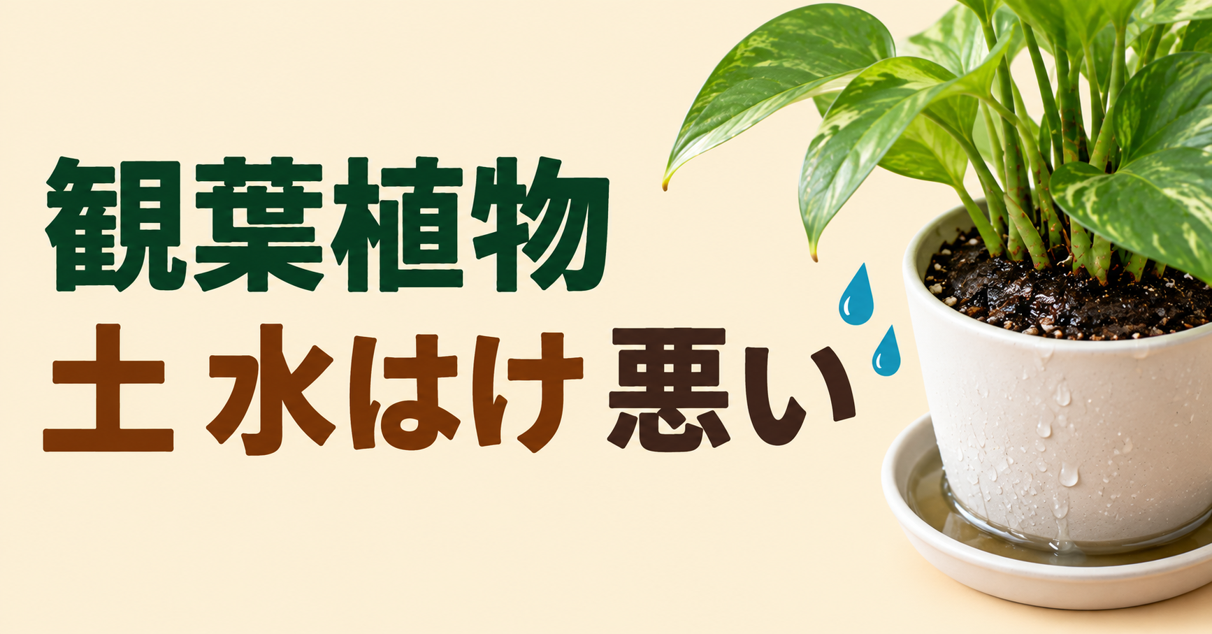 観葉植物の土の水はけが悪い原因は？改善方法・植え替え・根腐れ対策を解説