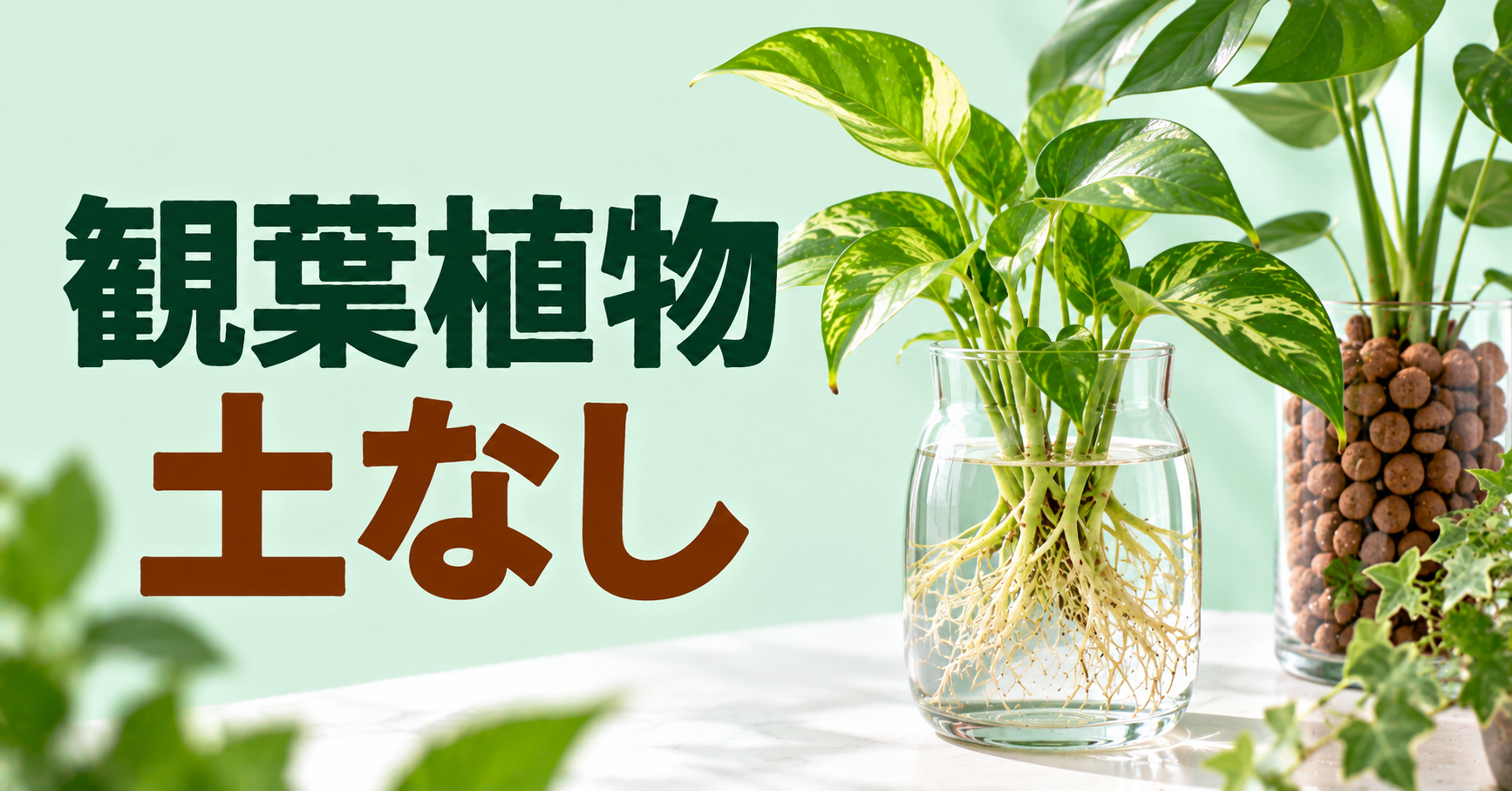 観葉植物は土なしで育てられる？水耕栽培・ハイドロカルチャーの始め方と管理方法