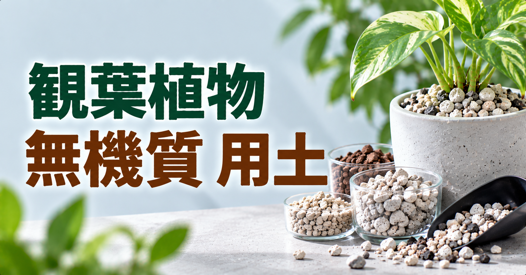 観葉植物に無機質用土を使うメリットは？種類・配合・植物別の選び方を徹底解説