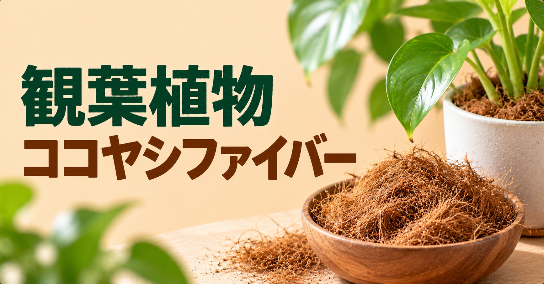 観葉植物にココヤシファイバーを使う方法｜使い方・メリット・カビ対策を徹底解説