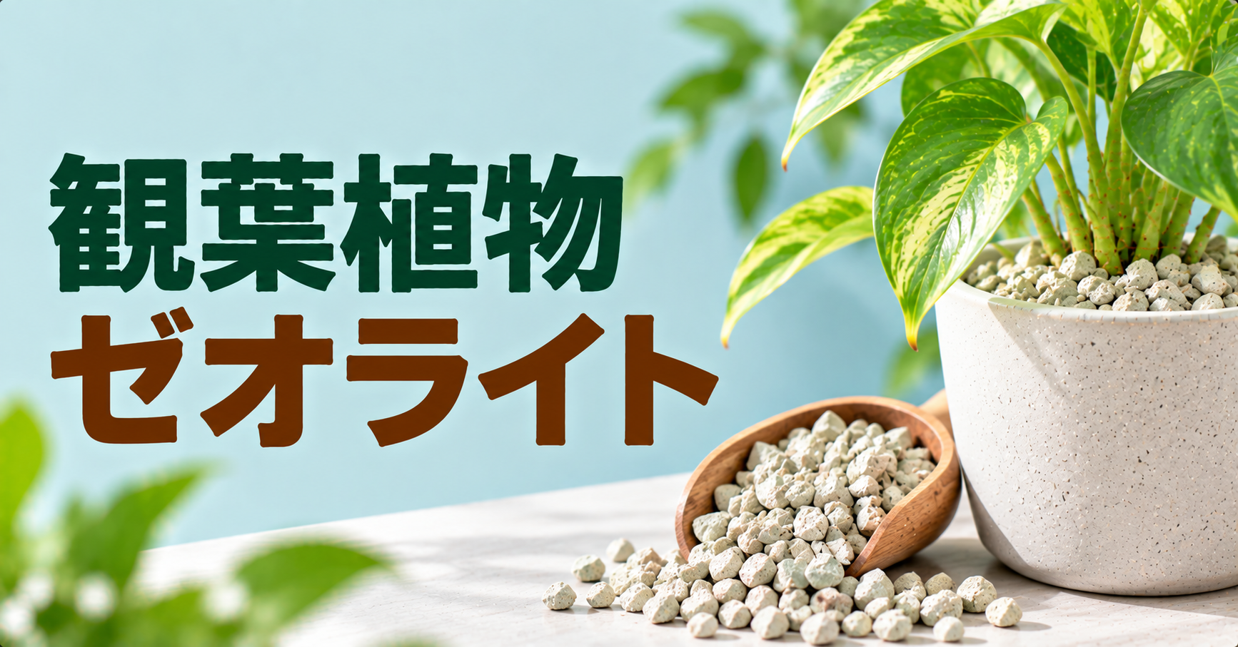 観葉植物にゼオライトは必要？効果・使い方・注意点を初心者向けに解説