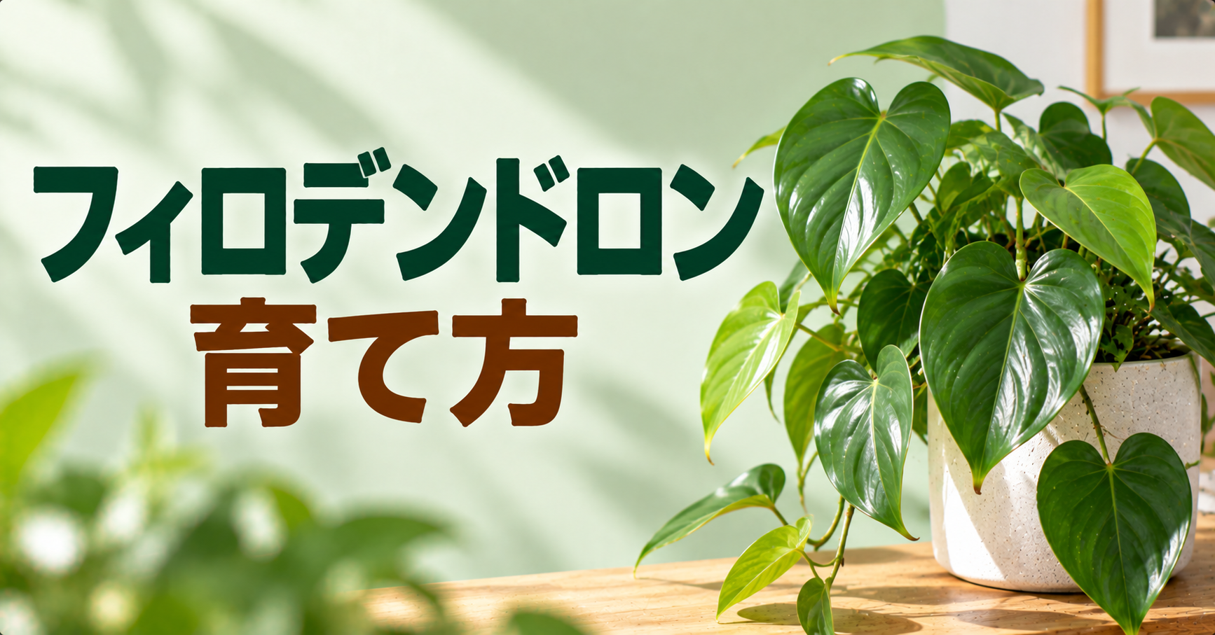 フィロデンドロンの育て方完全ガイド｜水やり・置き場所・植え替えと人気品種を解説