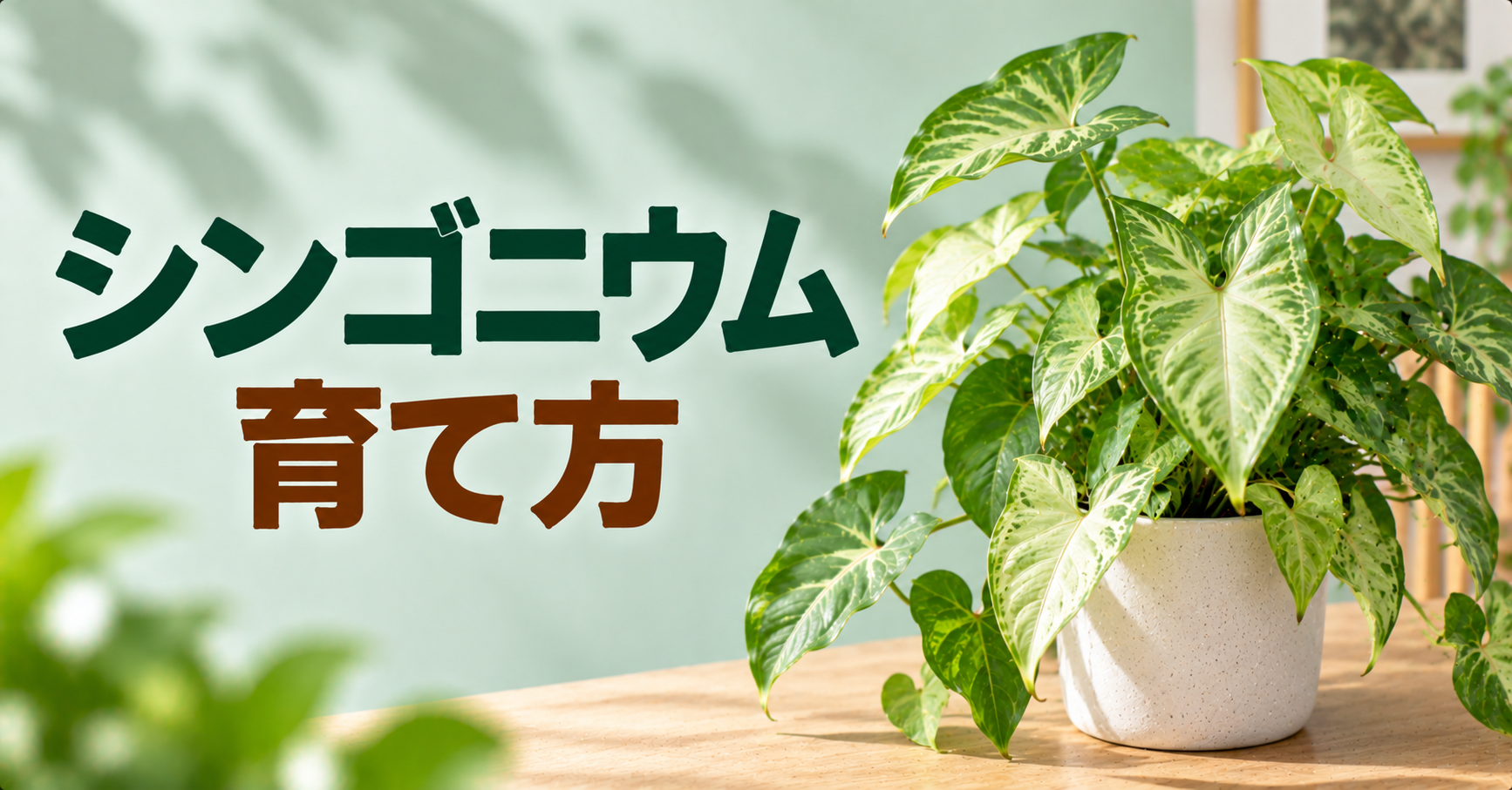 シンゴニウムの育て方｜水やり・置き場所・植え替え・増やし方を徹底解説