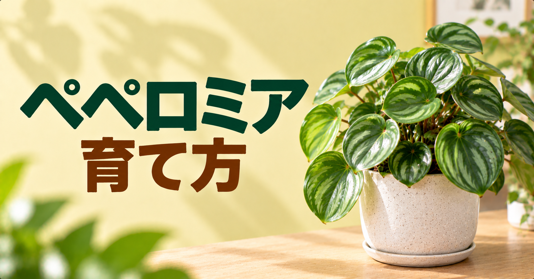 ペペロミアの育て方｜水やり・置き場所・植え替え・増やし方を徹底解説