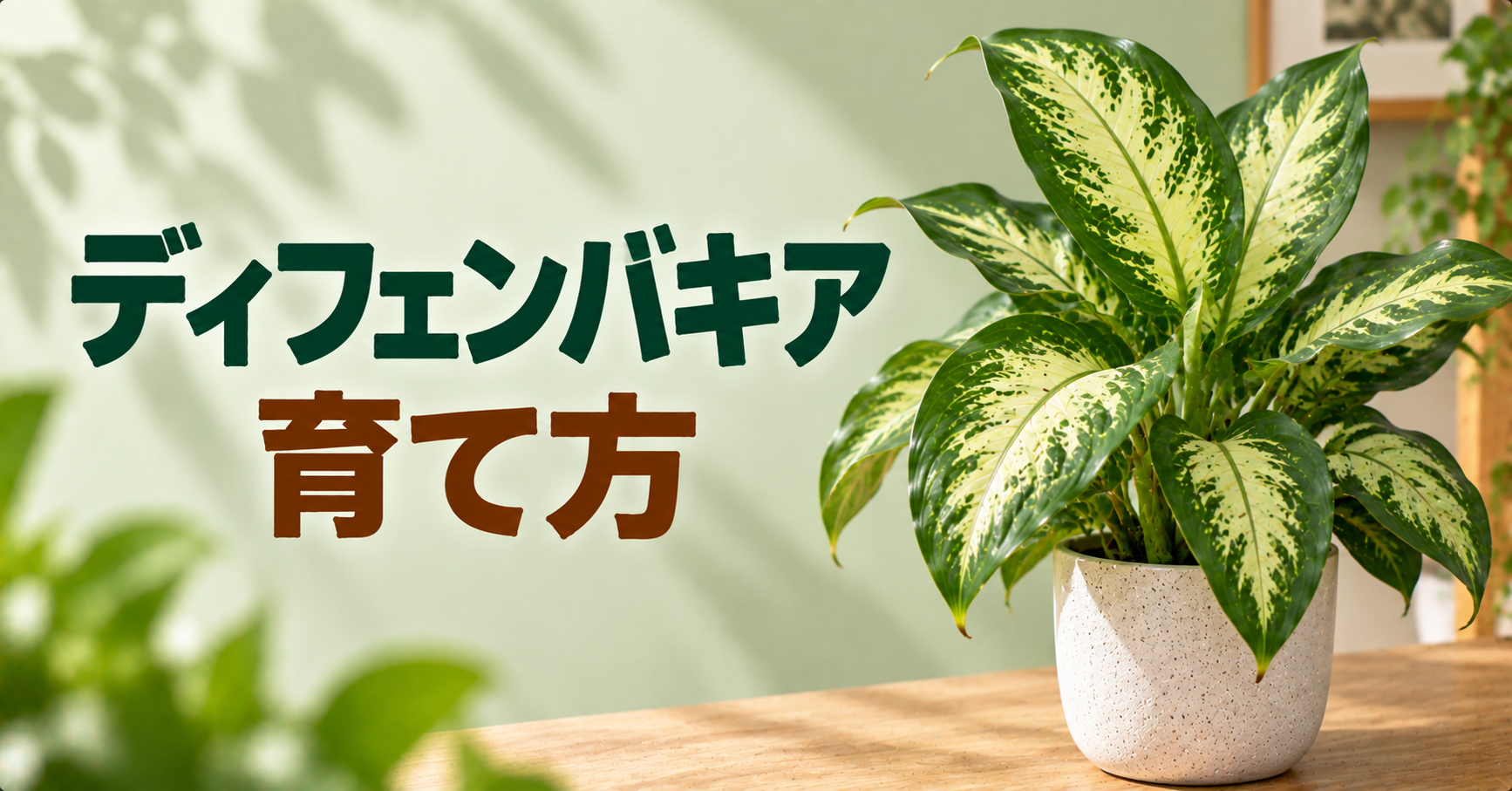 ディフェンバキアの育て方｜置き場所・水やり・冬越し・植え替えを解説