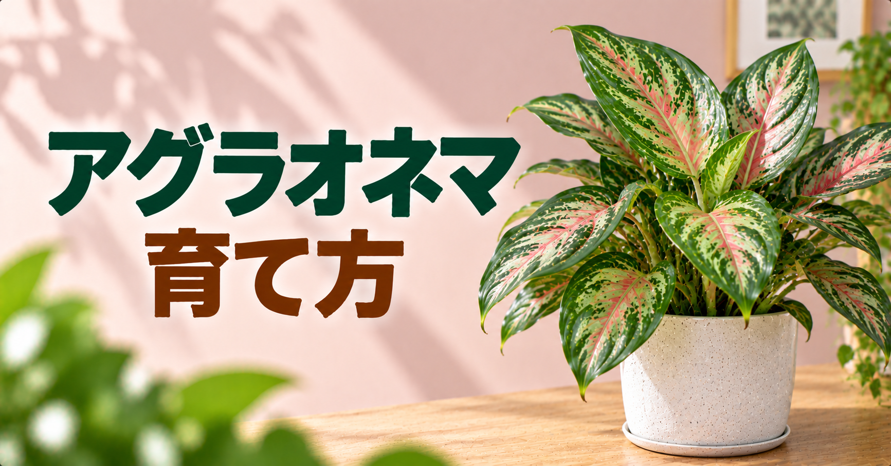 アグラオネマの育て方完全ガイド｜水やり・置き場所・冬越しと葉が枯れる原因を解説