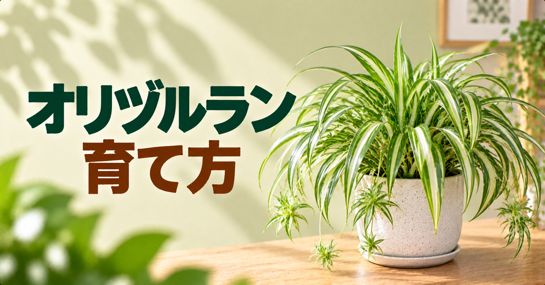 オリヅルランの育て方｜水やり・植え替え・子株の増やし方を解説