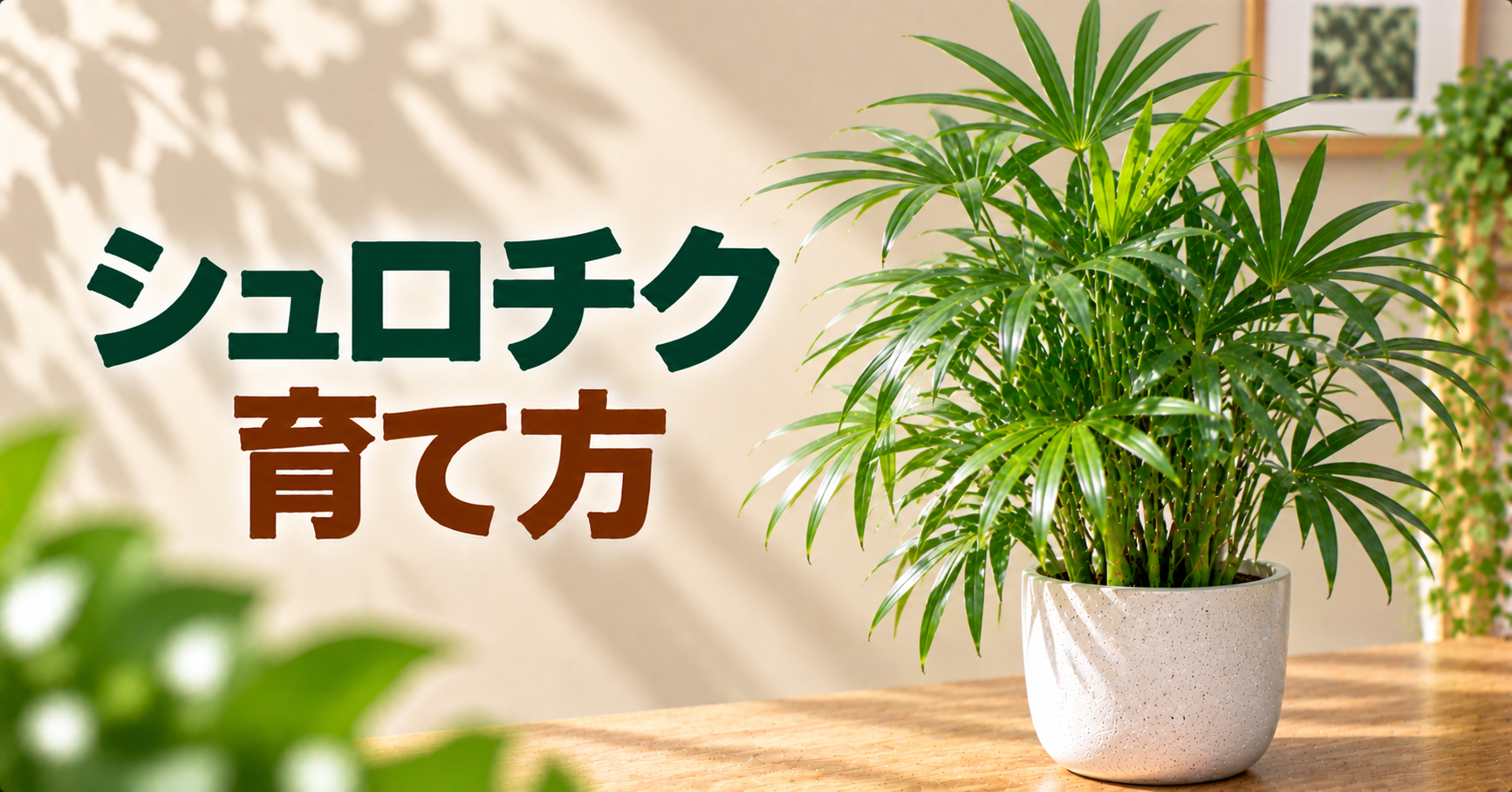 シュロチクの育て方完全ガイド｜水やり・置き場所・植え替えと葉先が枯れる原因を解説