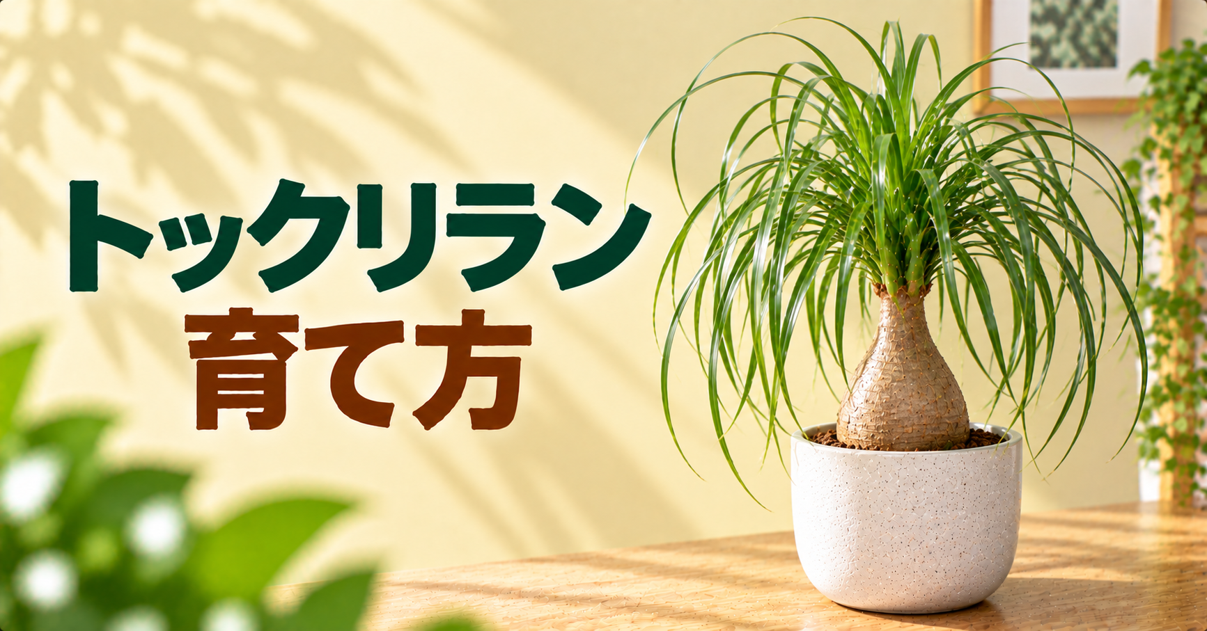 トックリランの育て方｜水やり・置き場所・植え替え・冬越しを徹底解説