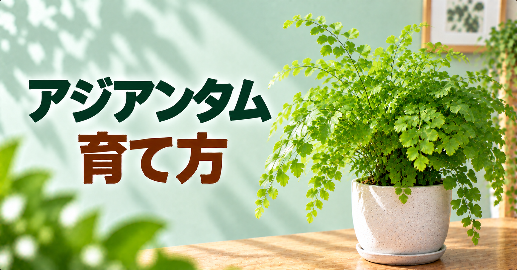 アジアンタムの育て方｜水やり・乾燥対策・植え替えまで初心者向けに解説